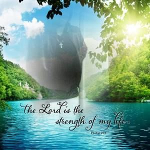 Meet your Posher, Veleka